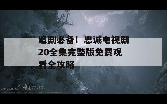 追剧必备！忠诚电视剧20全集完整版免费观看全攻略