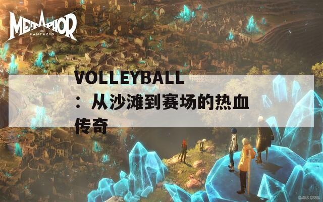 VOLLEYBALL：从沙滩到赛场的热血传奇