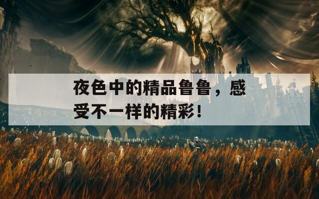 夜色中的精品鲁鲁，感受不一样的精彩！