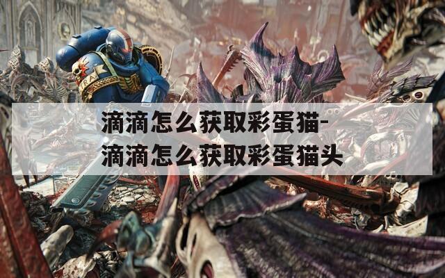 滴滴怎么获取彩蛋猫-滴滴怎么获取彩蛋猫头