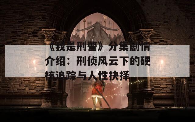 《我是刑警》分集剧情介绍：刑侦风云下的硬核追踪与人性抉择