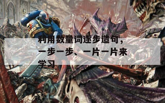 利用数量词逐步造句，一步一步、一片一片来学习