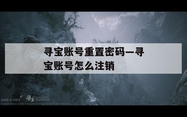 寻宝账号重置密码—寻宝账号怎么注销