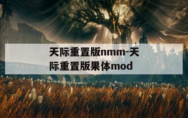 天际重置版nmm-天际重置版果体mod