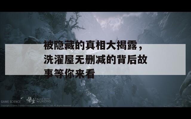 被隐藏的真相大揭露，洗濯屋无删减的背后故事等你来看