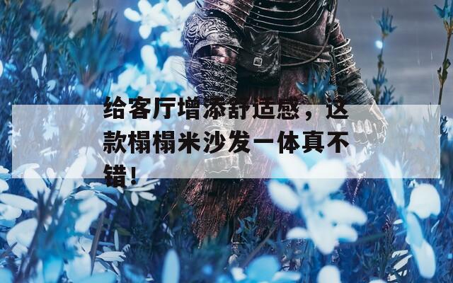 给客厅增添舒适感，这款榻榻米沙发一体真不错！