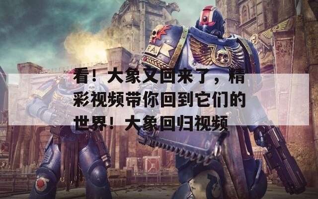 看！大象又回来了，精彩视频带你回到它们的世界！大象回归视频