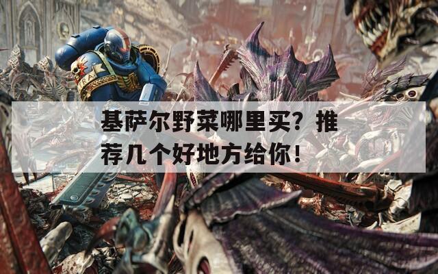 基萨尔野菜哪里买？推荐几个好地方给你！