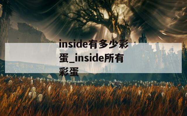 inside有多少彩蛋_inside所有彩蛋