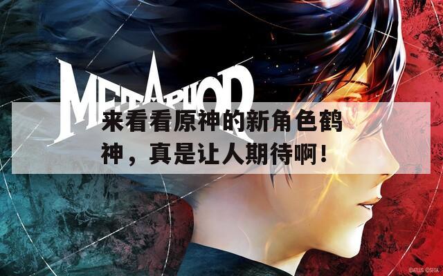 来看看原神的新角色鹤神，真是让人期待啊！