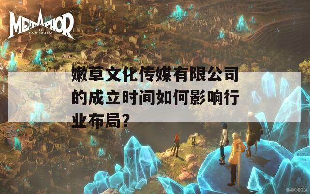 嫩草文化传媒有限公司的成立时间如何影响行业布局？