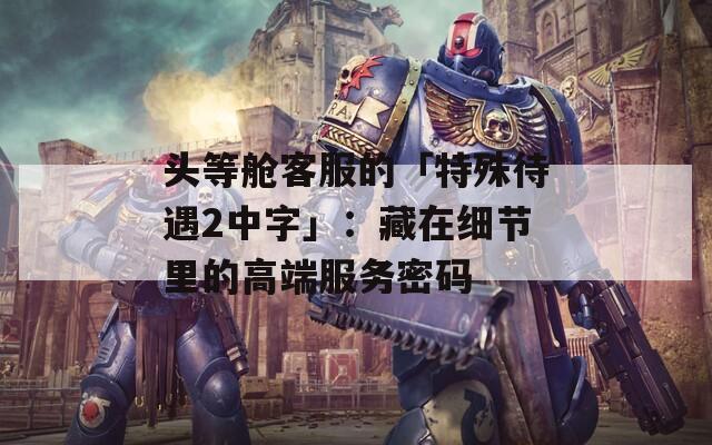 头等舱客服的「特殊待遇2中字」：藏在细节里的高端服务密码