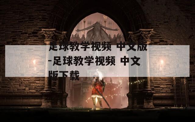 足球教学视频 中文版-足球教学视频 中文版下载