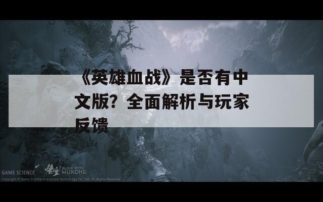《英雄血战》是否有中文版？全面解析与玩家反馈
