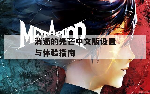 消逝的光芒中文版设置与体验指南