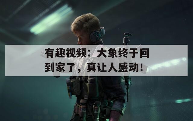 有趣视频：大象终于回到家了，真让人感动！