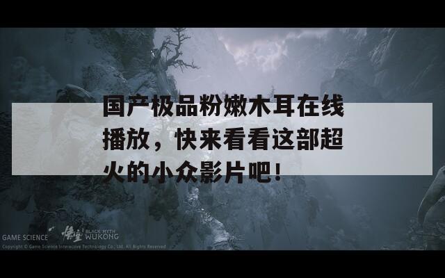 国产极品粉嫩木耳在线播放，快来看看这部超火的小众影片吧！