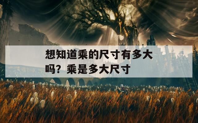 想知道乘的尺寸有多大吗？乘是多大尺寸