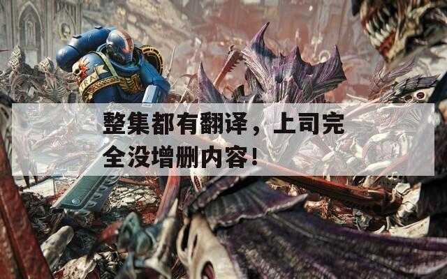 整集都有翻译，上司完全没增删内容！