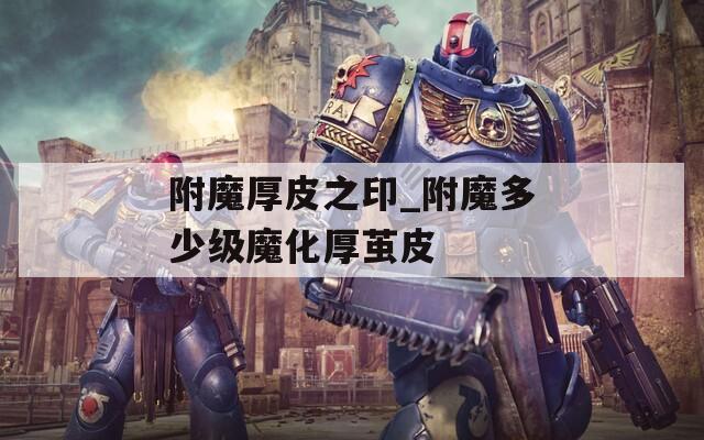 附魔厚皮之印_附魔多少级魔化厚茧皮