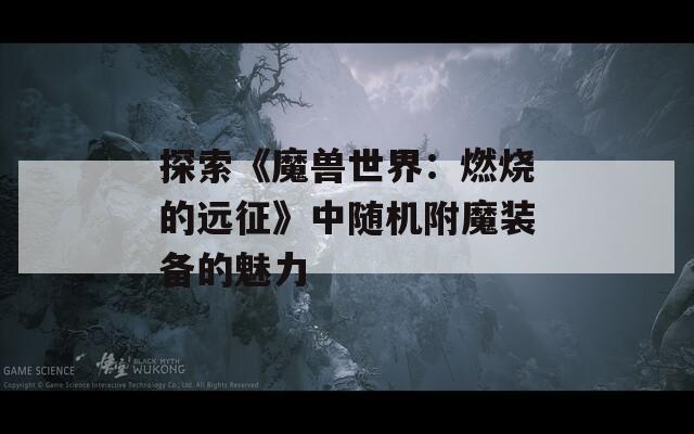 探索《魔兽世界：燃烧的远征》中随机附魔装备的魅力