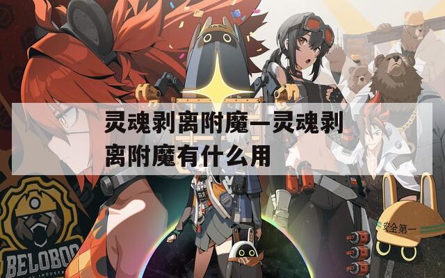 灵魂剥离附魔—灵魂剥离附魔有什么用