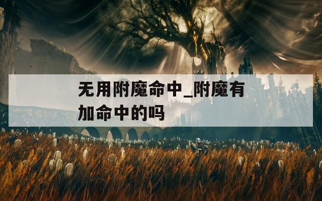无用附魔命中_附魔有加命中的吗