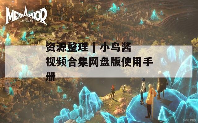 资源整理 | 小鸟酱视频合集网盘版使用手册