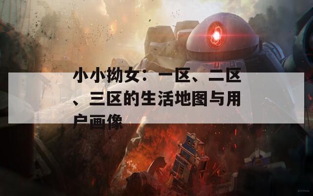 小小拗女：一区、二区、三区的生活地图与用户画像
