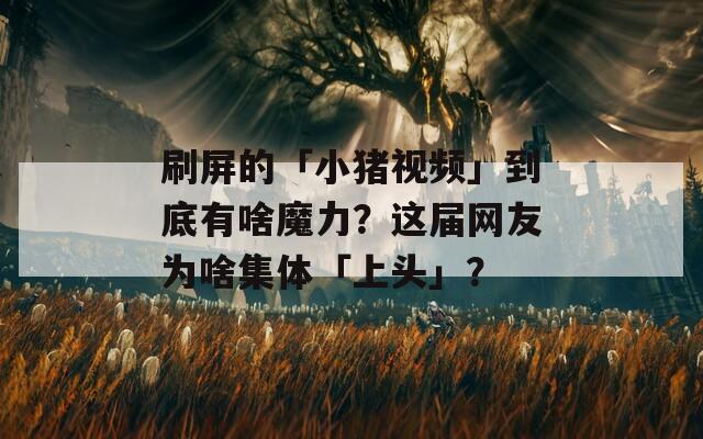 刷屏的「小猪视频」到底有啥魔力？这届网友为啥集体「上头」？
