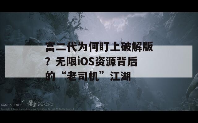 富二代为何盯上破解版？无限iOS资源背后的“老司机”江湖