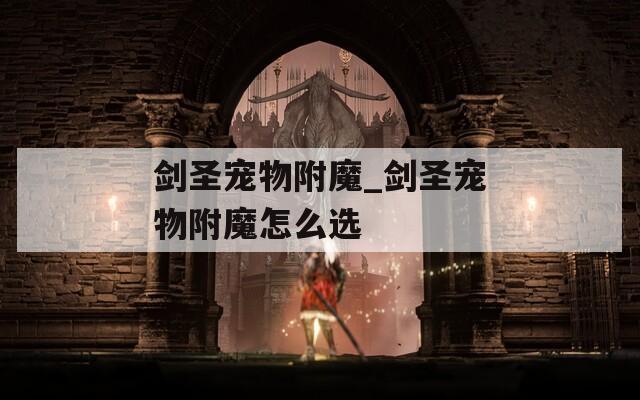 剑圣宠物附魔_剑圣宠物附魔怎么选
