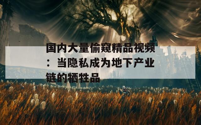国内大量偷窥精品视频：当隐私成为地下产业链的牺牲品