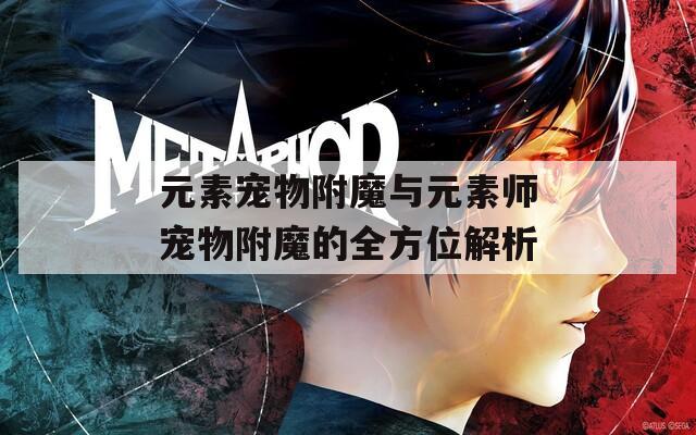 元素宠物附魔与元素师宠物附魔的全方位解析