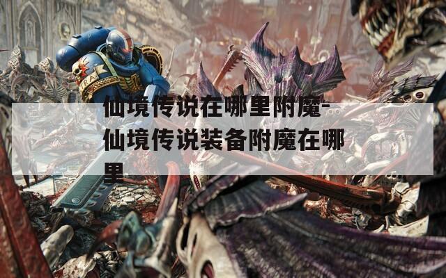 仙境传说在哪里附魔-仙境传说装备附魔在哪里
