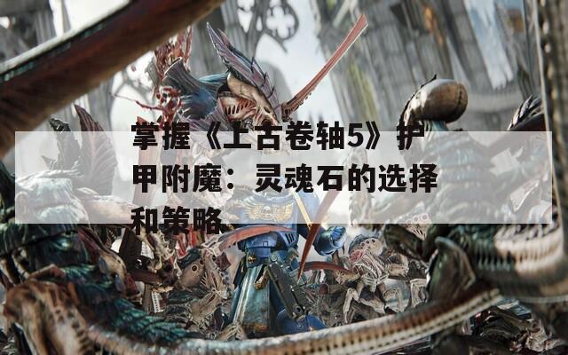 掌握《上古卷轴5》护甲附魔：灵魂石的选择和策略