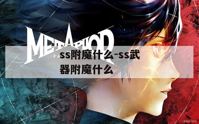 ss附魔什么-ss武器附魔什么