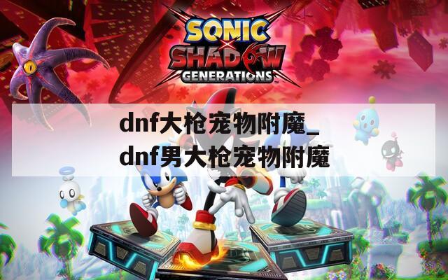 dnf大枪宠物附魔_dnf男大枪宠物附魔
