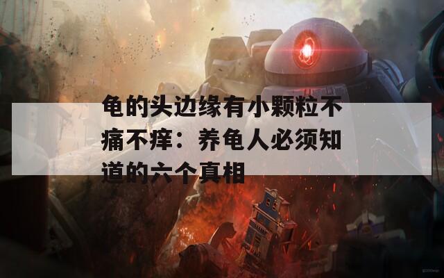 龟的头边缘有小颗粒不痛不痒：养龟人必须知道的六个真相