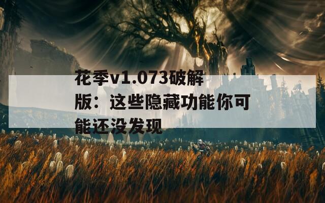 花季v1.073破解版：这些隐藏功能你可能还没发现