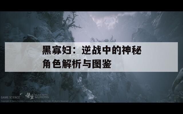 黑寡妇：逆战中的神秘角色解析与图鉴