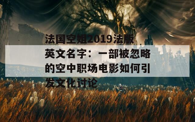 法国空姐2019法版英文名字：一部被忽略的空中职场电影如何引发文化讨论