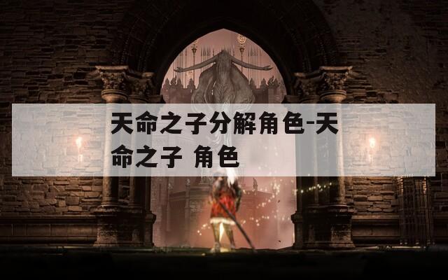 天命之子分解角色-天命之子 角色