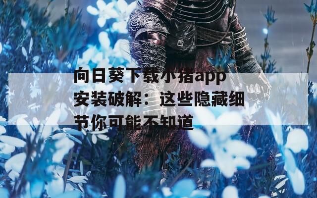 向日葵下载小猪app安装破解：这些隐藏细节你可能不知道