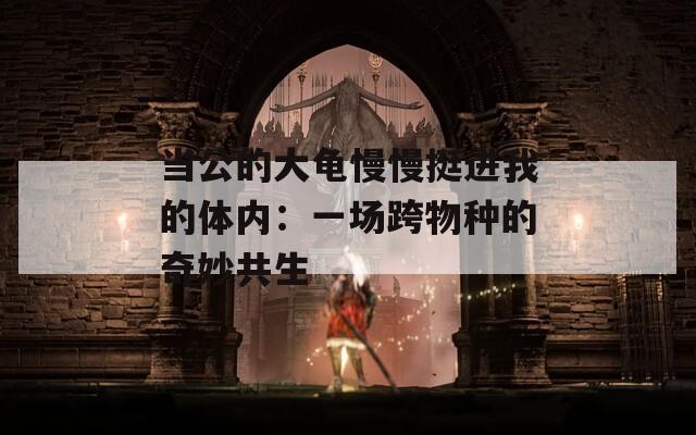 当公的大龟慢慢挺进我的体内：一场跨物种的奇妙共生