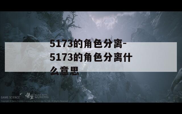 5173的角色分离-5173的角色分离什么意思